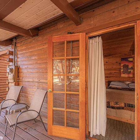 Forest Cabin 4 Cowboys Dream بايسون المظهر الخارجي الصورة