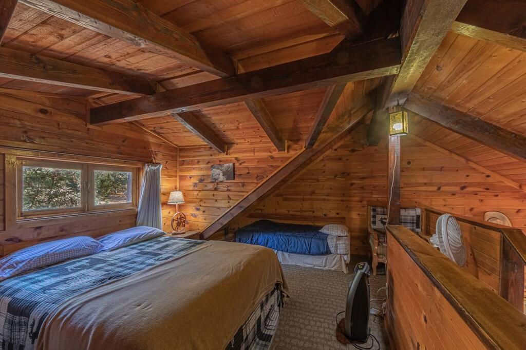 Forest Cabin 4 Cowboys Dream بايسون المظهر الخارجي الصورة