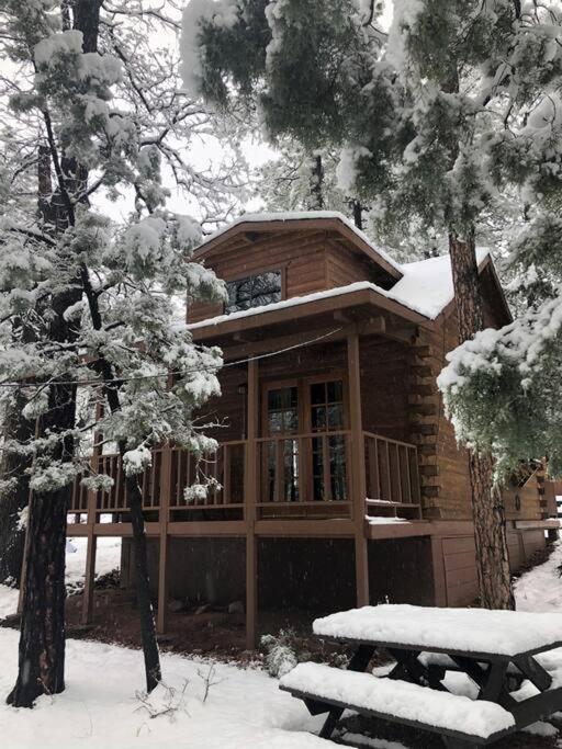 Forest Cabin 4 Cowboys Dream بايسون المظهر الخارجي الصورة