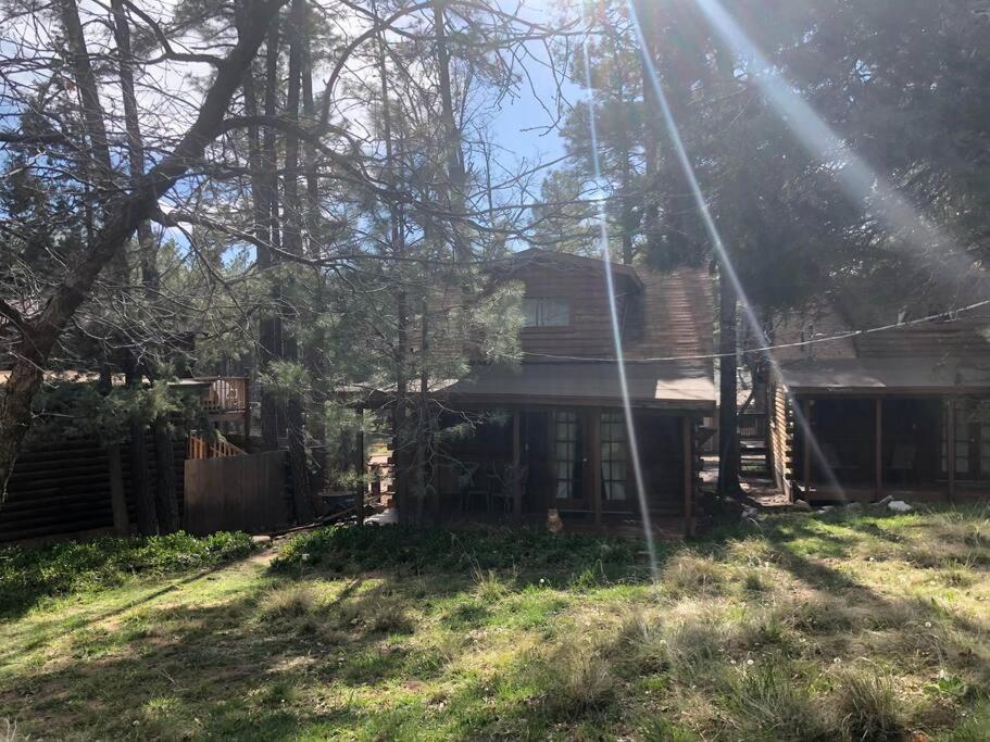 Forest Cabin 4 Cowboys Dream بايسون المظهر الخارجي الصورة